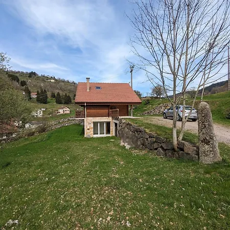Spacieux A La Bresse, Ideal Pour Familles Et Amis - Fr-1-589-679 Holiday home