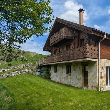 Spacieux A La Bresse, Ideal Pour Familles Et Amis - Fr-1-589-679 * 라브레세